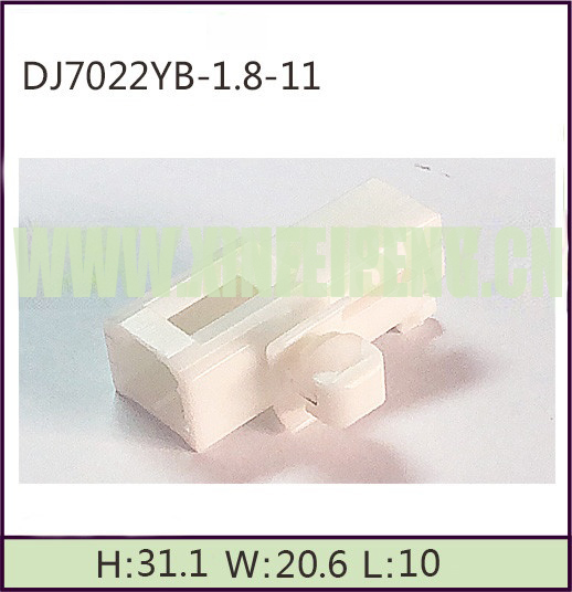 XFP28-2P