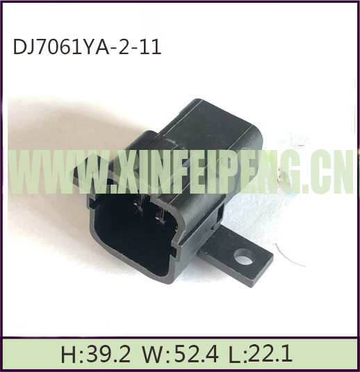 XFP1901-6P
