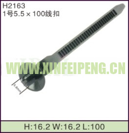 XFP-H2163