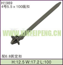 XFP-H1989