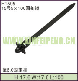XFP-H1595