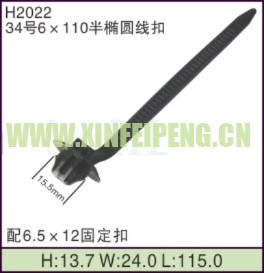 XFP-H2022