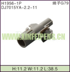 XFP-H1956-1P