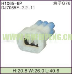 XFP-H1065-6P