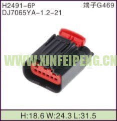XFP-H2491-6P