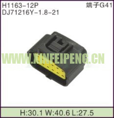 XFP-H1163-12P