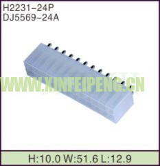 XFP-H2231-24P