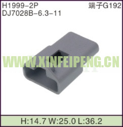 XFP-H1999-2P