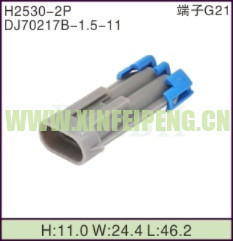 XFP-H2530-2P
