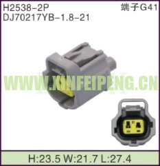 XFP-H2538-2P