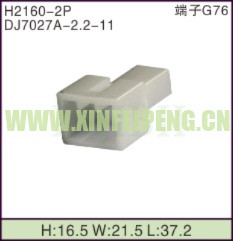 XFP-H2160-2P