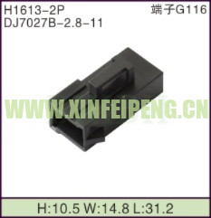 XFP-H1613-2P