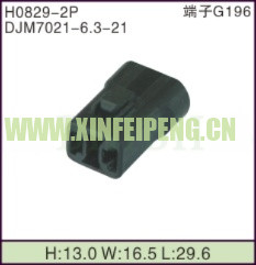 XFP-H0829-2P