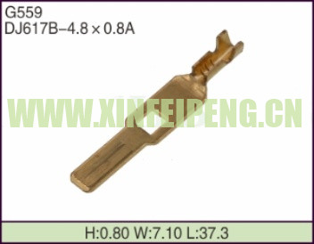 XFP-G559