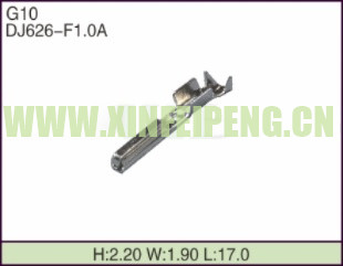 XFP-G10