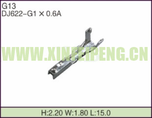 XFP-G13
