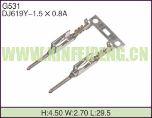 XFP-G531