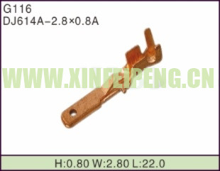 XFP-G116