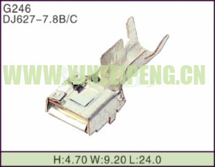 XFP-G246