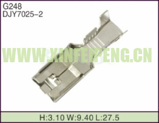 XFP-G248